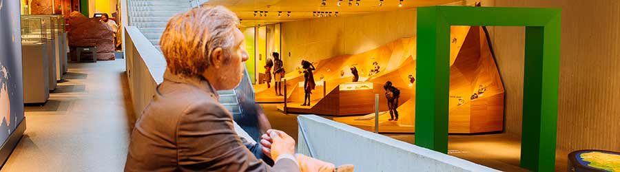 Neanderthal Museum